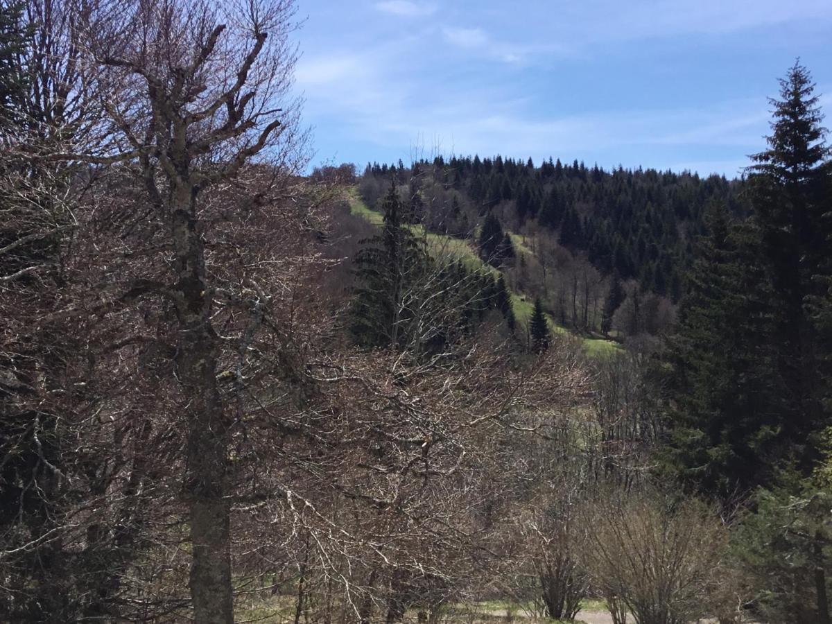 شقة لاغيول  في Lo Vedelier D'Aubrac المظهر الخارجي الصورة