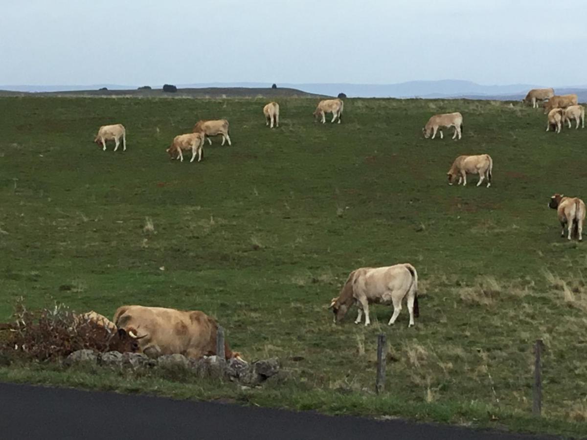 شقة لاغيول  في Lo Vedelier D'Aubrac المظهر الخارجي الصورة